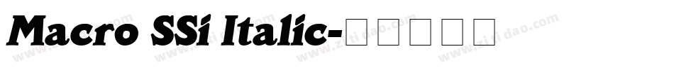 Macro SSi Italic字体转换